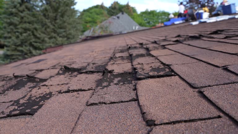Best Roof Maintenance and Cleaning  in Whitmore Lake, MI