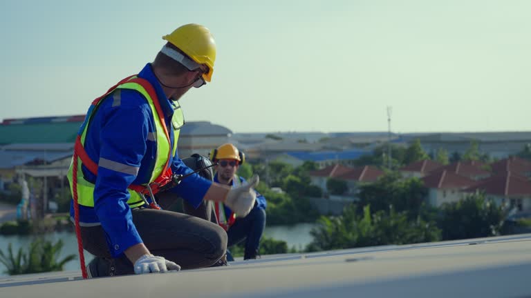 Best Skylight Installation and Repair  in Whitmore Lake, MI