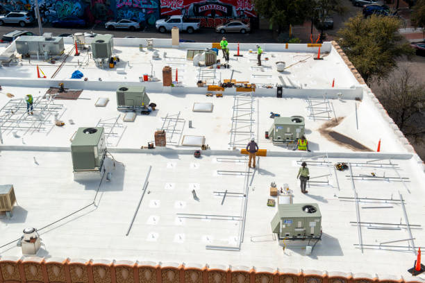 Best Asphalt Shingle Roofing  in Whitmore Lake, MI